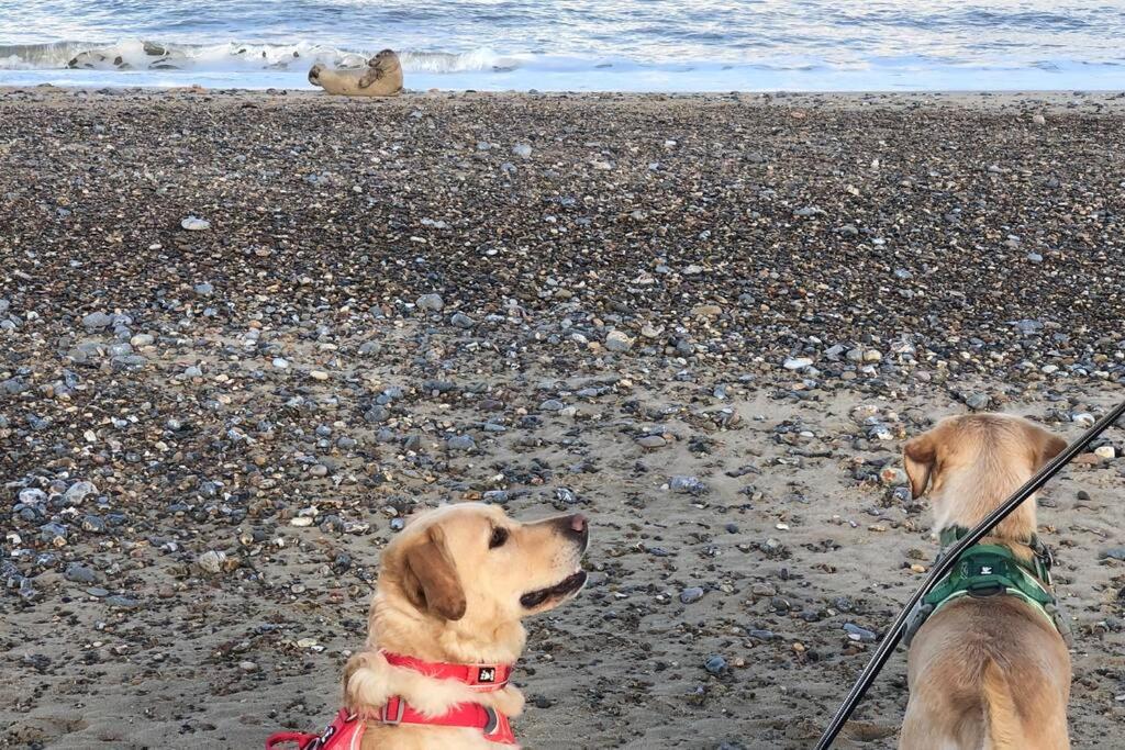 Dog Friendly Cottage 2 Mins To Beach With Hot Tub And Zappi Ev Lessingham ภายนอก รูปภาพ